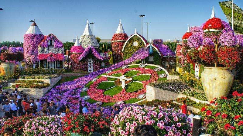 Maple Grove Garden Co. 5